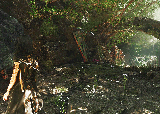 Imagem de Prados da Primavera